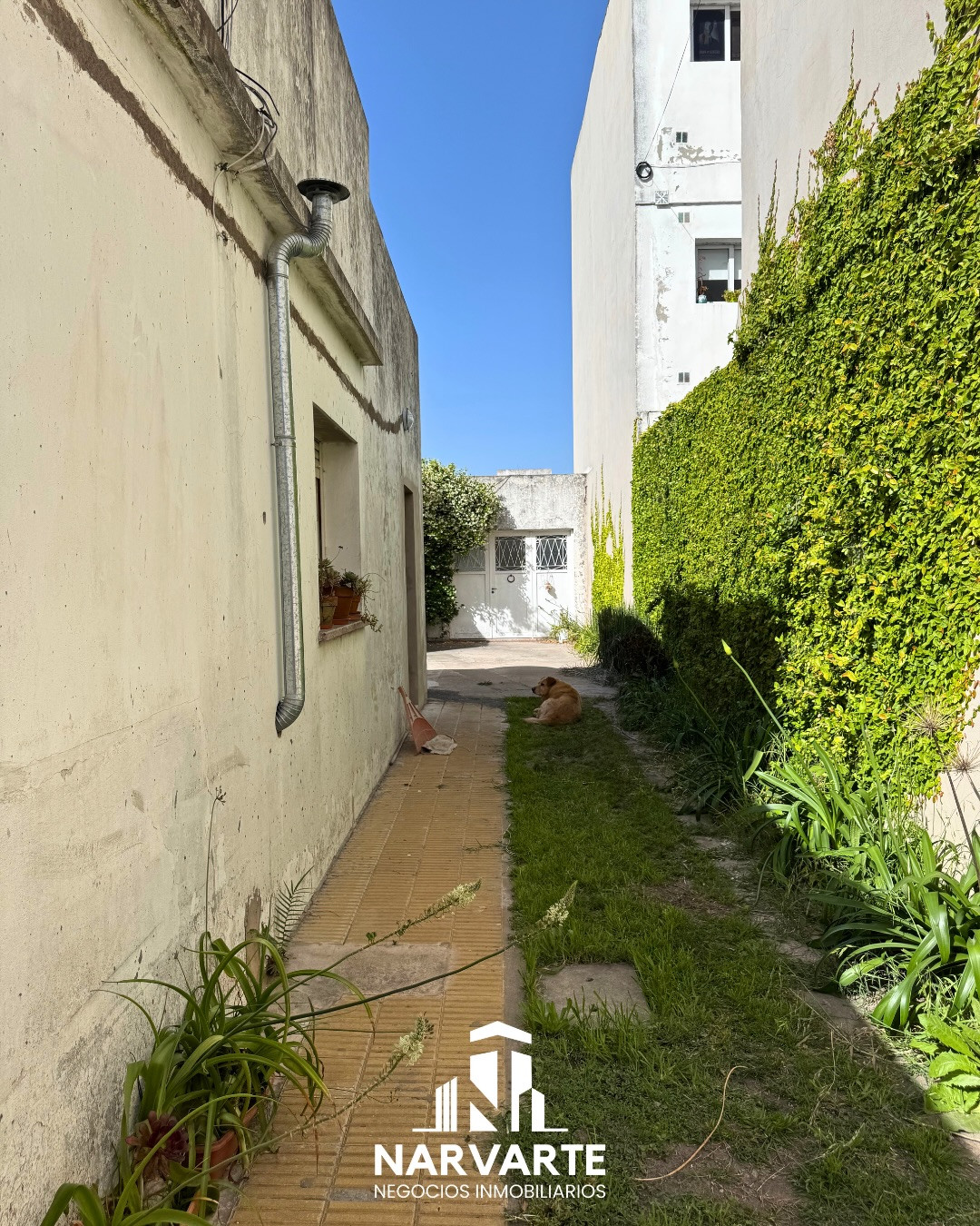 Casa en Venta – Barrio Villa Floresta — Olavarría