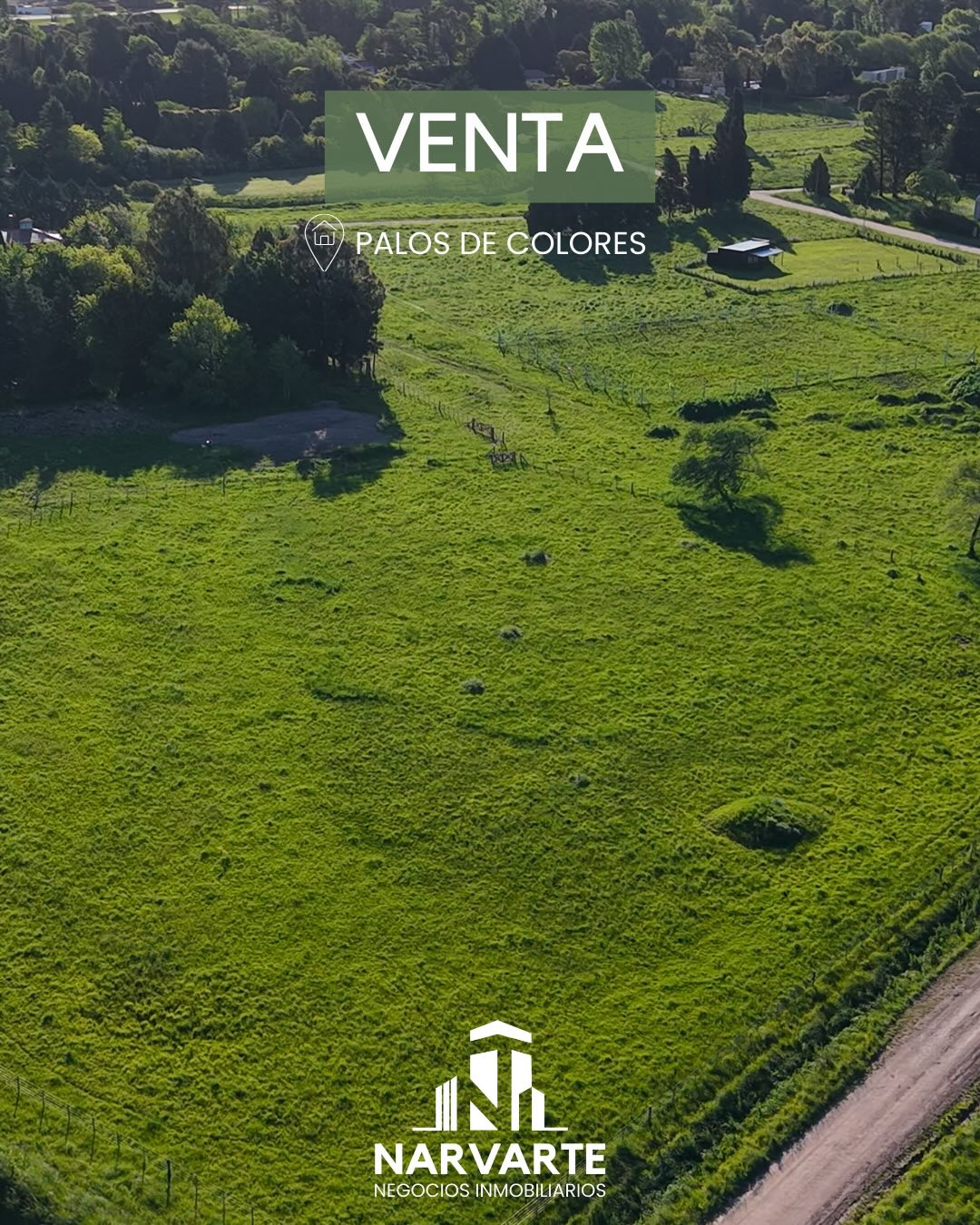 Cuatro Lotes en Venta – Palos de Colores — Olavarría