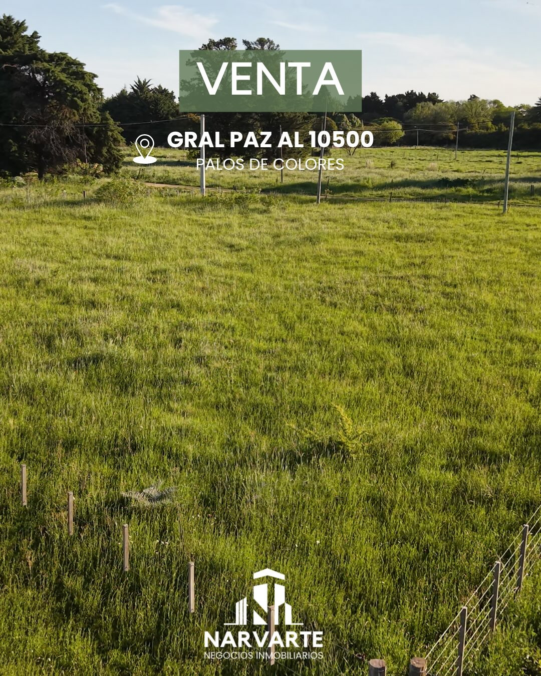 Lote en Venta – Palos de Colores, General Paz — Olavarría