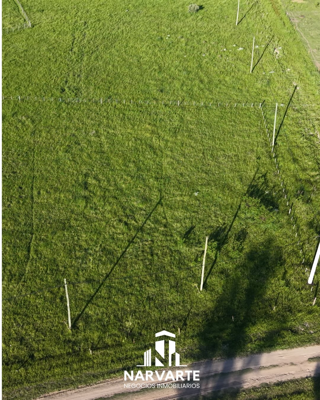 Lote en Venta – Palos de Colores, General Paz — Olavarría